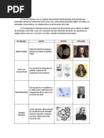 Cuadro Comparativo Teorias Celulares y Clases de Celulas