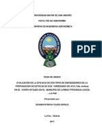 Eficacio de Dos Tipos de Enraizadores en Uva PDF