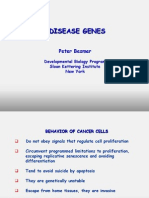 Disease Genes: Peter Besmer