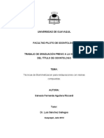 Técnicas de Biomimetizacion para Restauraciones Con Resinas Compuestas.