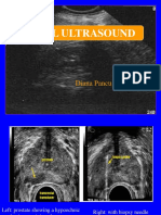 Renal Ultrasound: Diana Pancu, MD