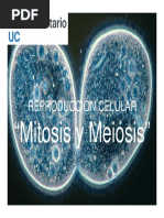 Mitosis y Meiosis