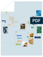 Ingeniería Agronómica y Agrícola - Mapa