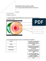 Guía de Apoyo Unidad II La Tierra, Estructura y Cambios Ciencias 4° Basicos