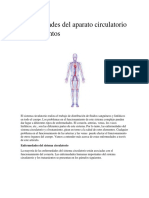 Enfermedades Del Aparato Circulatorio y Tratamientos