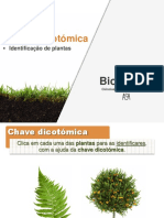 Planta 5º