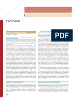 Stomach: Structure and Function