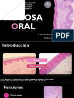 Mucosa Bucal Final