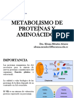 Metabolismo de Proteínas