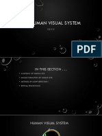 Lecture1-Human Eye System