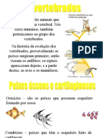 Biologia PPT - Vertebrados