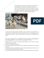 ¿Por Qué Se Convierten en Un Problema Los Perros Callejeros, Abandonados o Perros Vagabundos? Las Consecuencias Son Principalmente Estas