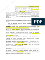 Acta de Constitucion de La Organizacion Comunal