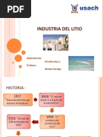 Industria Del Litio