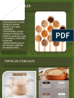 Cereales y Sus Procesamientos