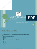 Acupuntura para Animais