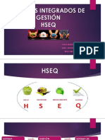 Hseq - Sistemas Integrados de Gestión PDF