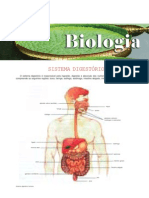 Biologia - Sistema Digestório II