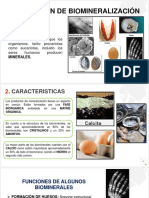 BIOMINERALIZACIÓN 