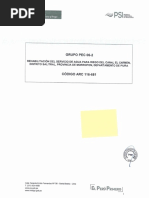 Pec 06.02 - El Carmen PDF