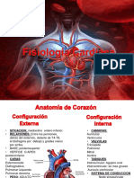 Fisiologia Cardiaca