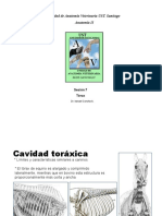 Torax Equino Comparado PDF