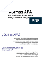 Normas Apa