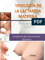 Fisiología de La Lactancia Materna