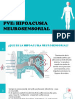 P Ve Neuro Sensorial