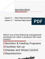 and 2. Lesson 1 and 2 Male and Female Reproductive Systems