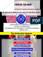 Thyroid Gland: Dr. Humairah Medina Liza Lubis, M. Ked (PA), SP - PA