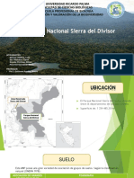 Parque Nacional Sierra Del Divisor SISTEMA EDAFOLOGICO