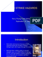 Bird Strike Hazards Sep 04