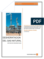 Deshidratacion Del Gas Natural