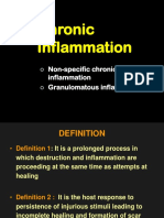 Chronic Inflammation Non-Specific and Granulomatous