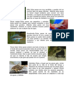 Tipos de Animales