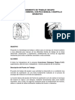 Procedimiento de Trabajo Seguro Picador