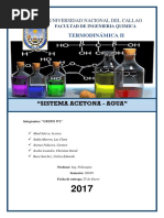 Sistema Acetona - Agua