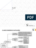 Clases de Medidas Cautelares