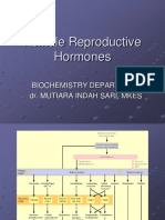 Female Reproductive Hormones: Biochemistry Department Dr. Mutiara Indah Sari, Mkes