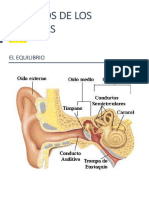 Eo Oído 1