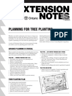 Planning For Tree Planting: Advance Planning Is Crucial