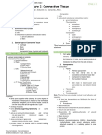 Connective Tissue