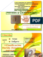 Heridas y Cicatrizacion