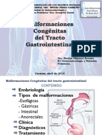 Laminas Malformacion Congenita Del Tracto Gastrointestinal 