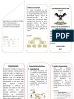 Triptico PDF