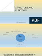 Joint Structure and Function