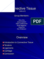 Connective Tissue: Group Members