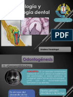 Ergonomia en Odontologia