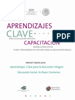 Educación Inicial - Un Buen Comienzo PDF